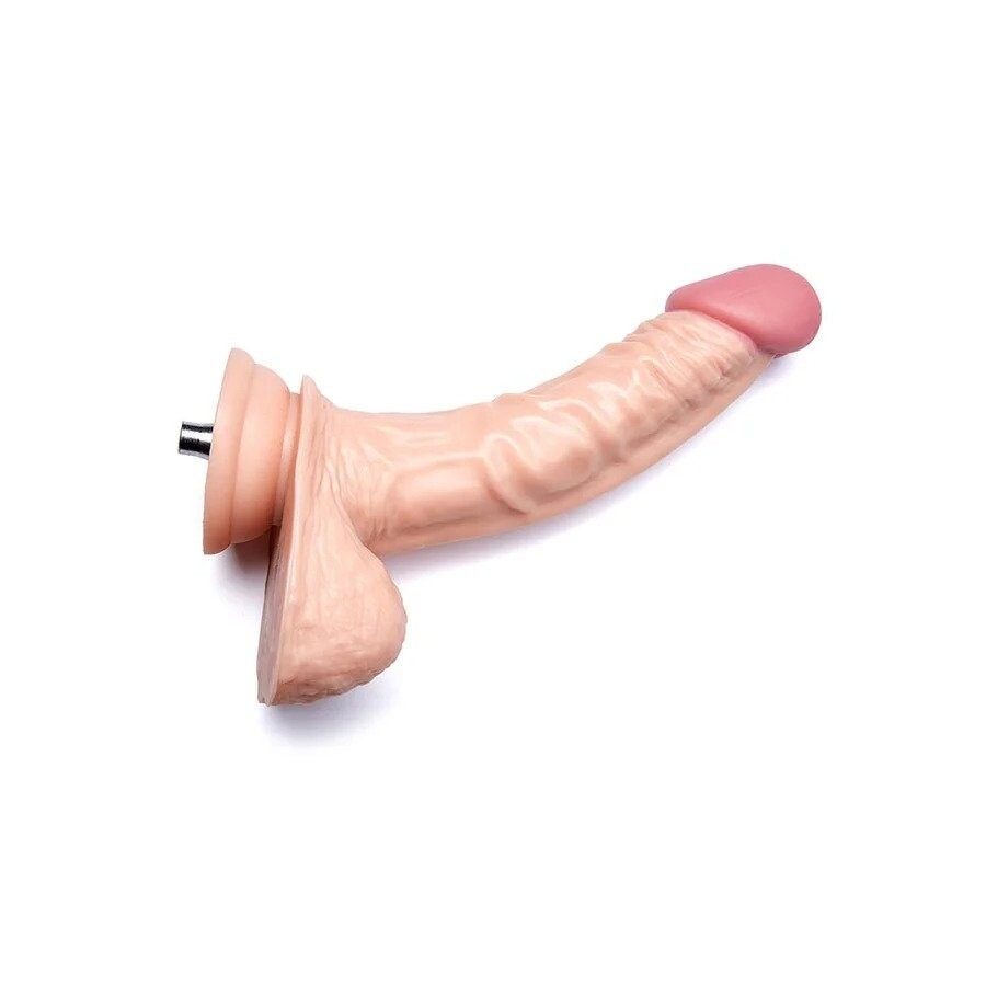 Xintimate 8.1